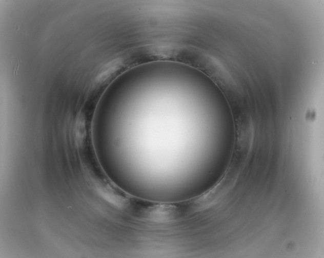 X0000092090128200709121520