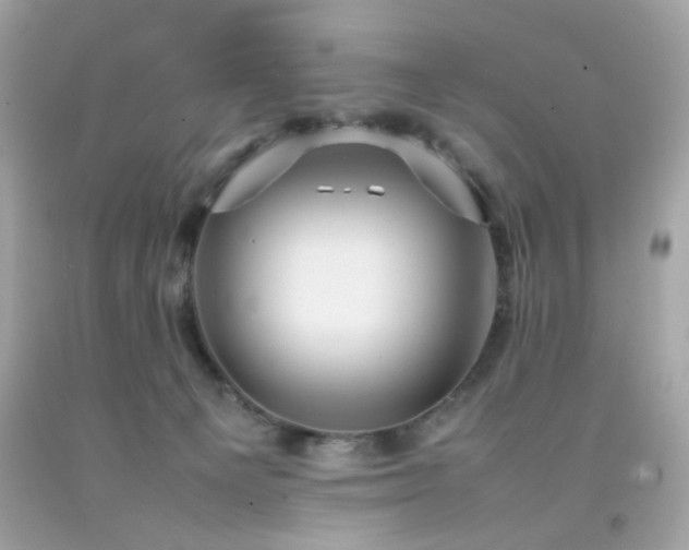 X0000092090129200709121520