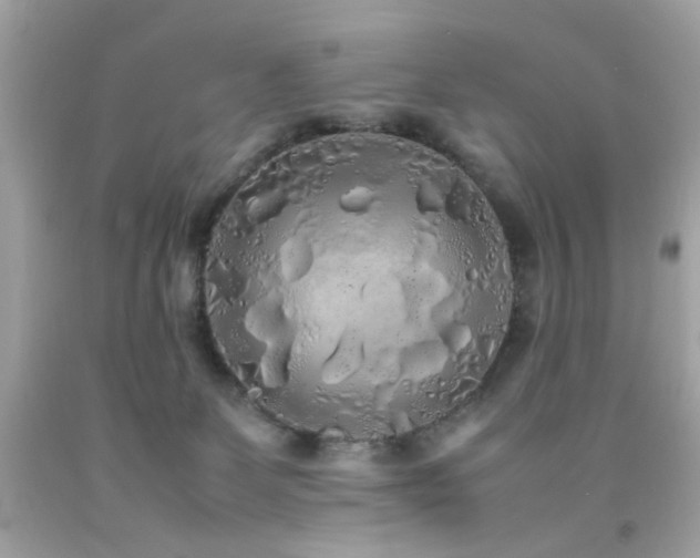 X0000092090131200709121520