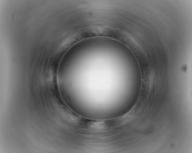 X0000092090132200709121520