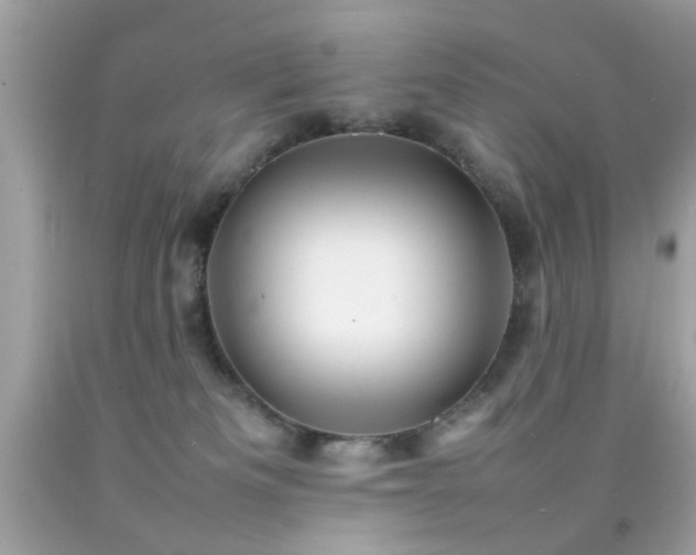 X0000092090133200709121520