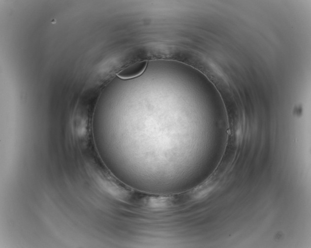X0000092090134200709121520