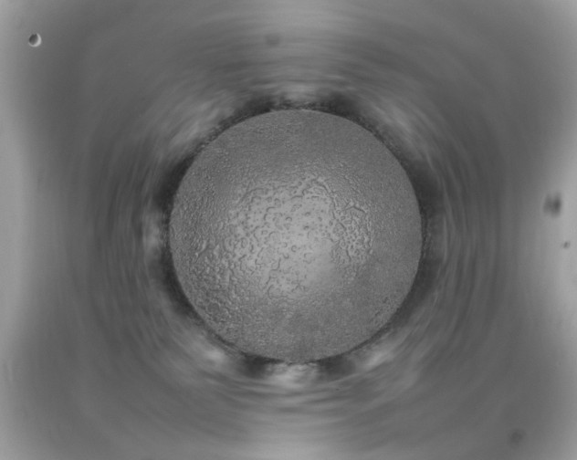 X0000092090135200709121520
