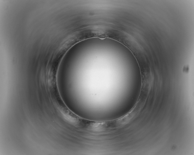 X0000092090136200709121520