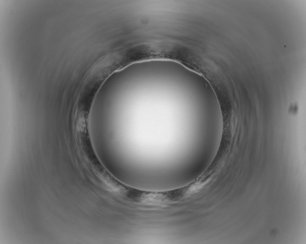 X0000092090137200709121520