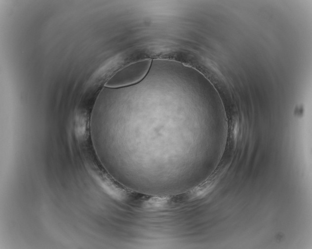 X0000092090138200709121520