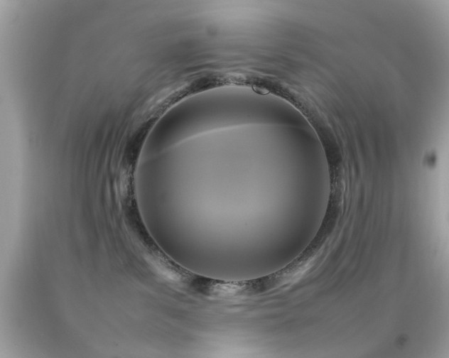X0000092090139200709121520