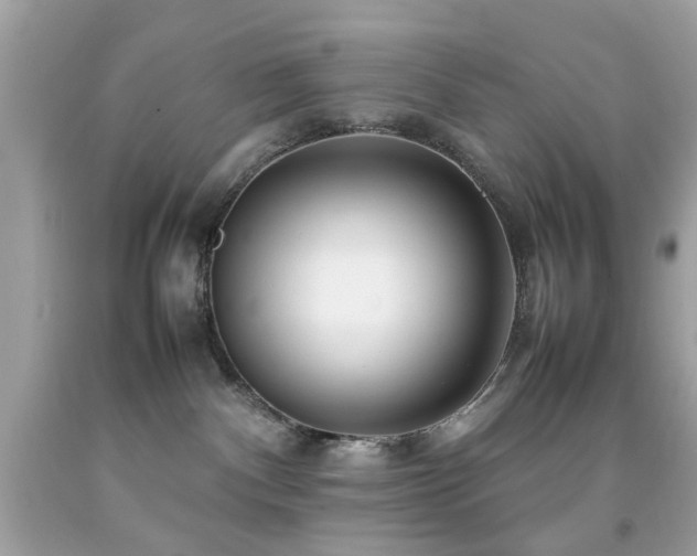 X0000092090140200709121520