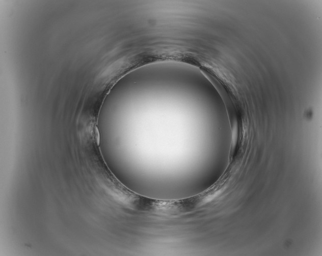 X0000092090141200709121520