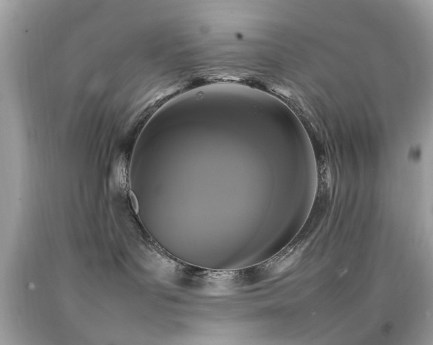 X0000092090143200709121520