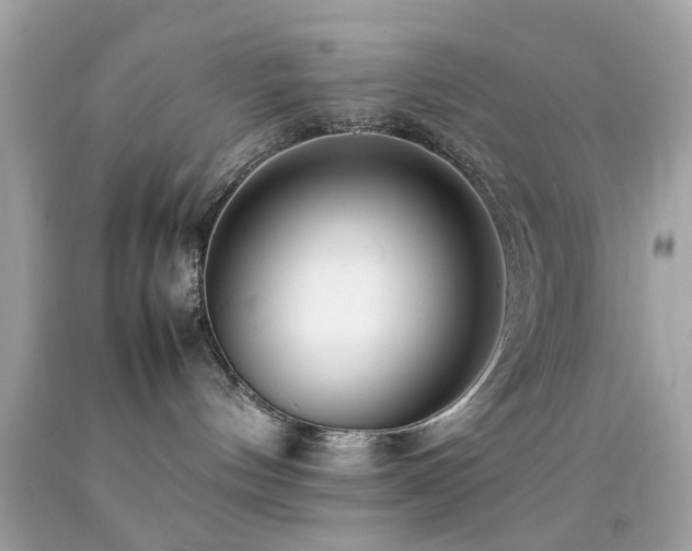 X0000092090144200709121520