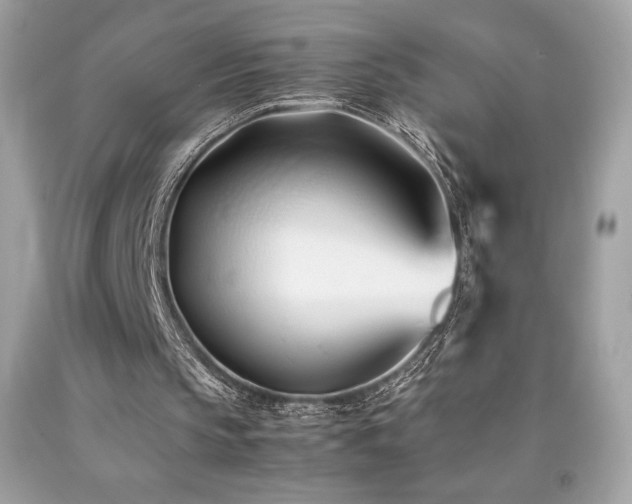 X0000092090145200709121519