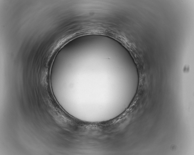 X0000092090146200709121519