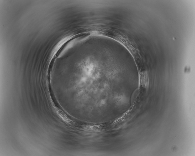 X0000092090147200709121519