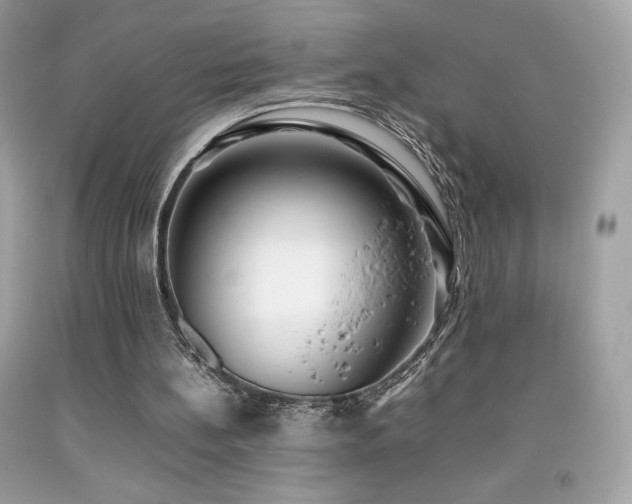 X0000092090148200709121519