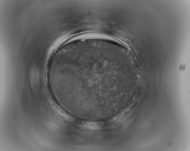 X0000092090149200709121519