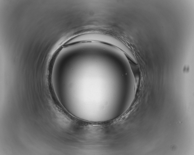 X0000092090150200709121519