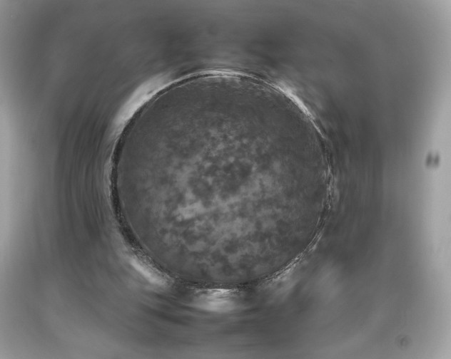 X0000092090151200709121519