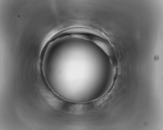 X0000092090152200709121519