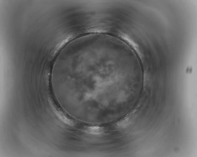 X0000092090153200709121519