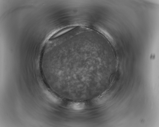 X0000092090155200709121519