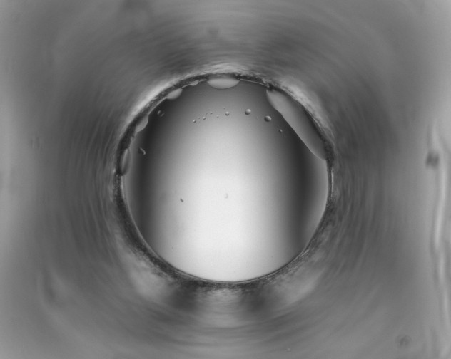 X0000092090156200709121519