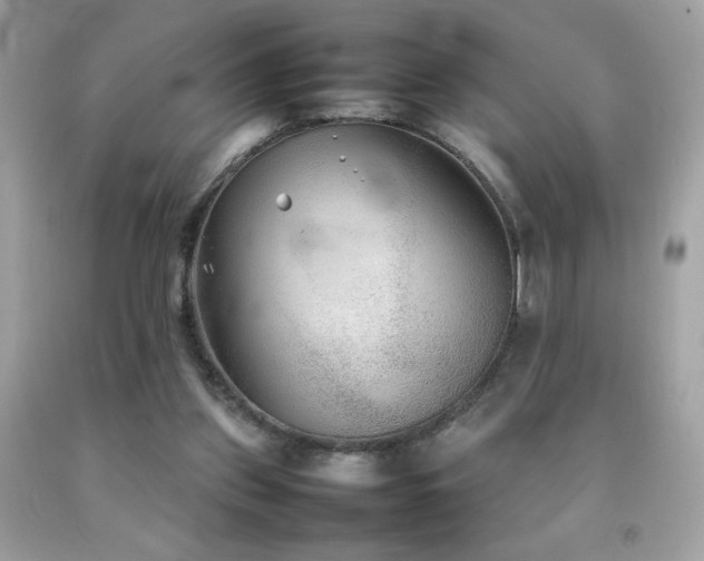 X0000092090157200709121519
