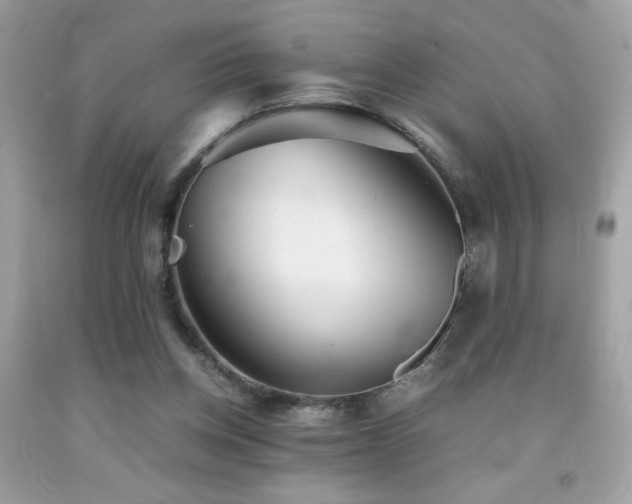 X0000092090158200709121519