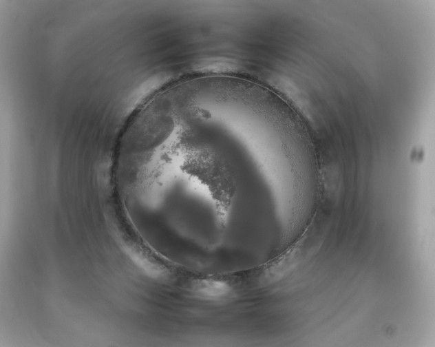 X0000092090159200709121519