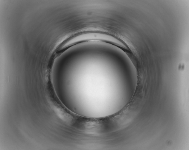 X0000092090160200709121519