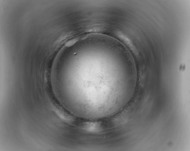 X0000092090161200709121519