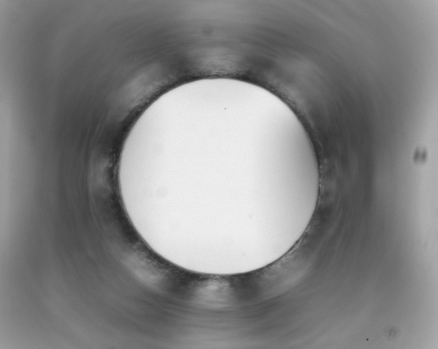 X0000092090162200709121519