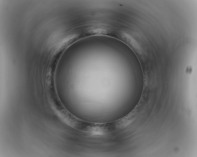 X0000092090163200709121519