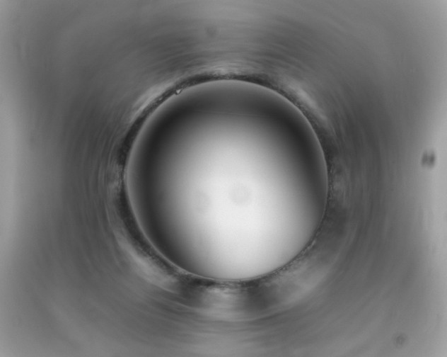 X0000092090164200709121519