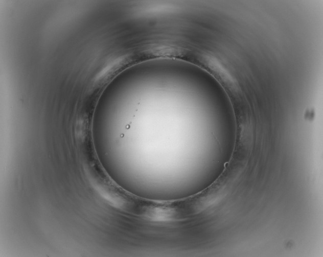 X0000092090165200709121519