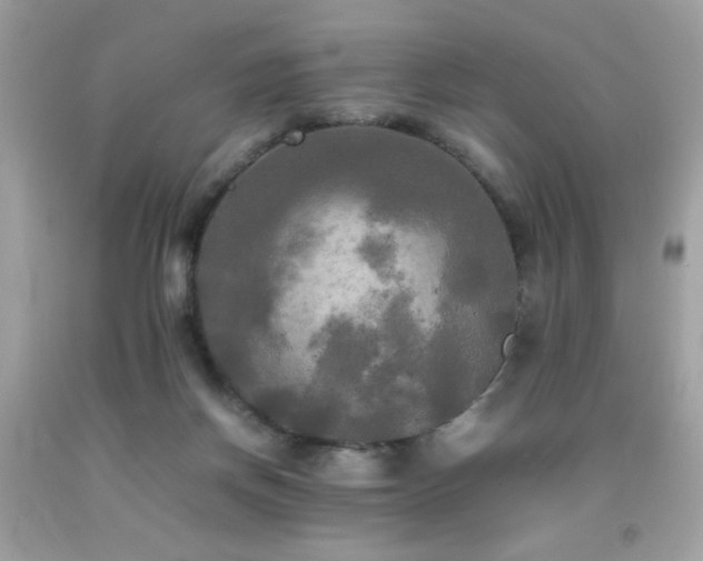 X0000092090166200709121519