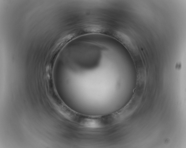 X0000092090167200709121520