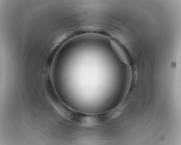 X0000092090168200709121520