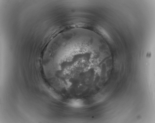 X0000092090169200709121520