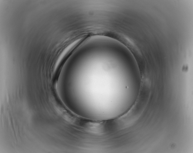 X0000092090170200709121520