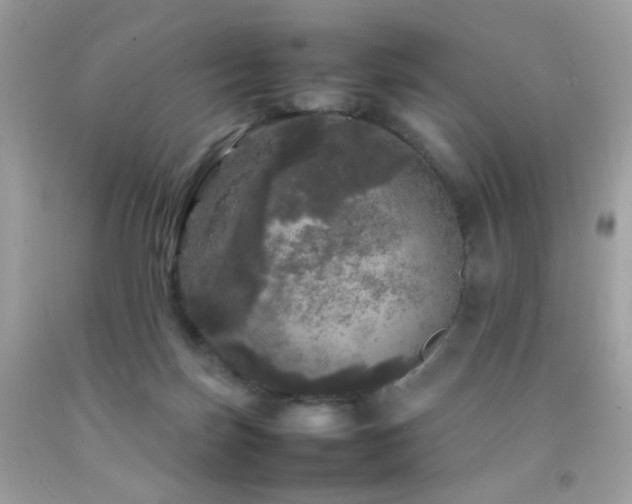 X0000092090171200709121520