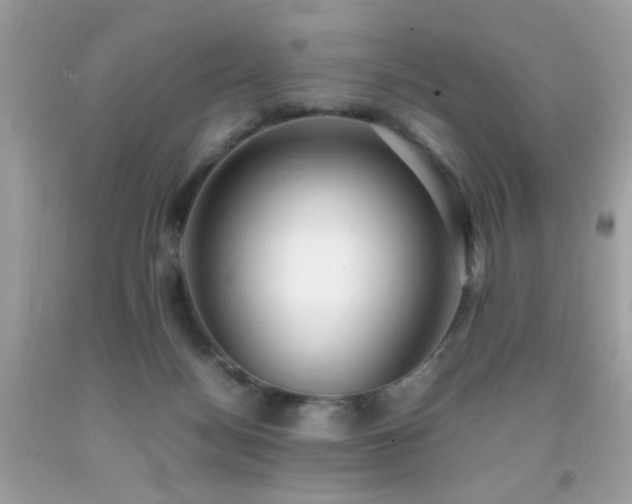 X0000092090172200709121520