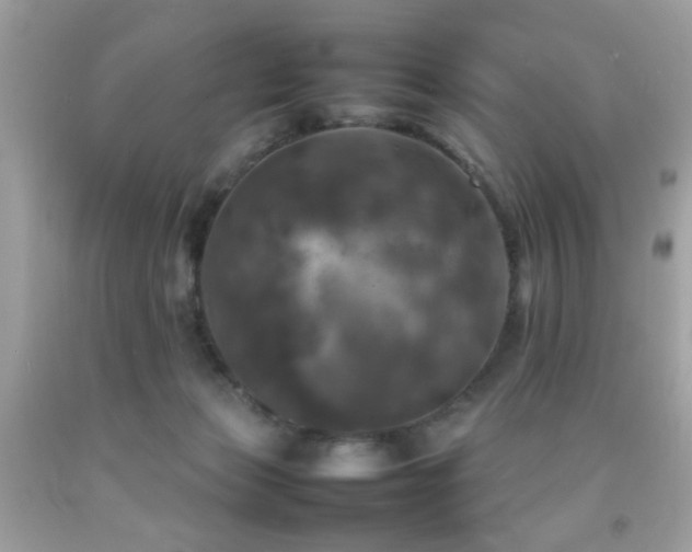 X0000092090173200709121520