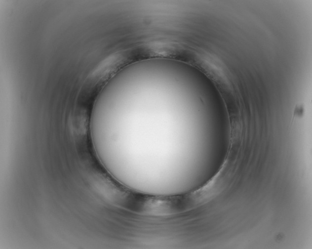 X0000092090174200709121520