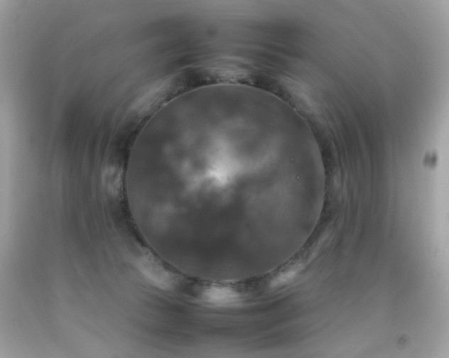 X0000092090177200709121520