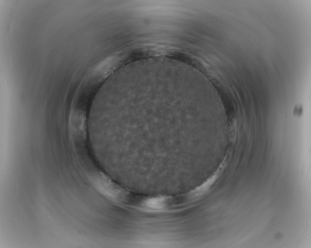X0000092090178200709121520