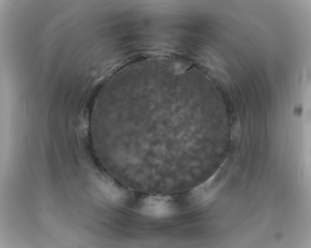 X0000092090179200709121520