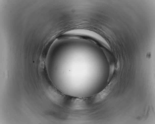 X0000092090180200709121520
