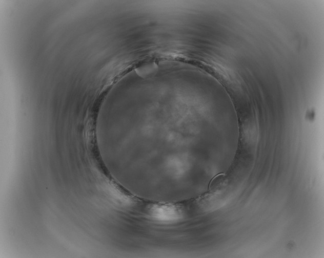 X0000092090181200709121520
