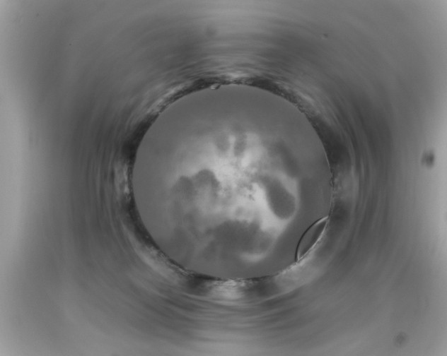 X0000092090182200709121520